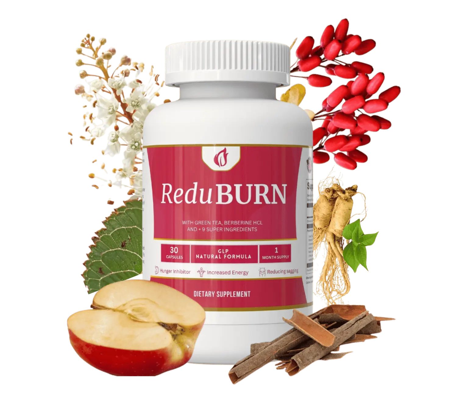 ReduBURN Weight Management Supplement